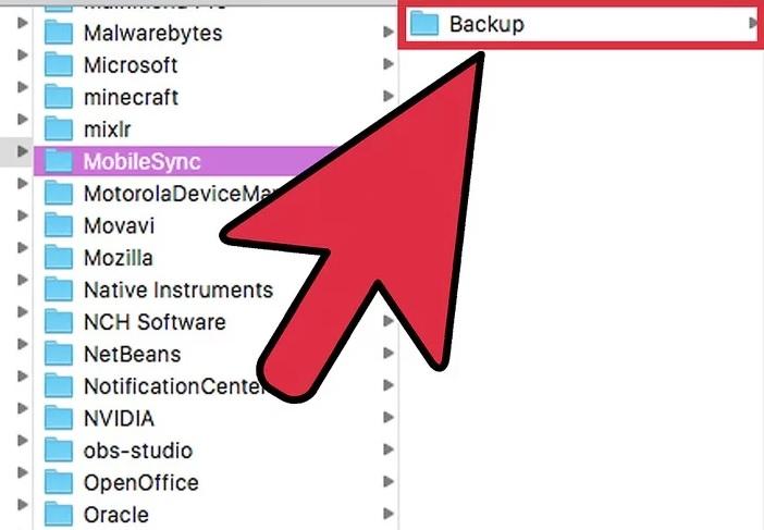 Backup" folder to visualize your UDID