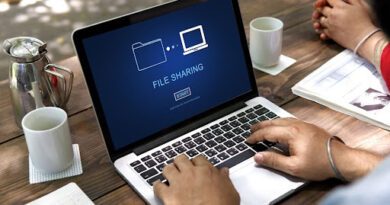 File Sharing Services